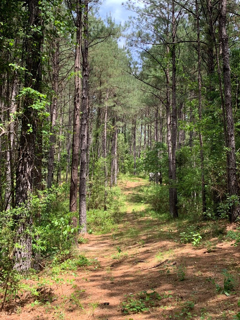 84 Applewhite Road McCall Creek, MS 39647 - Photo 19 of 24 Photo 19