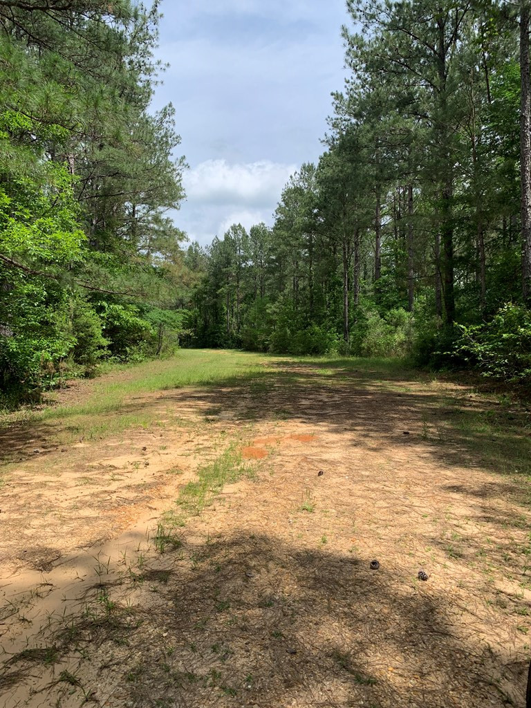 84 Applewhite Road McCall Creek, MS 39647 - Photo 2 of 24 Photo 2