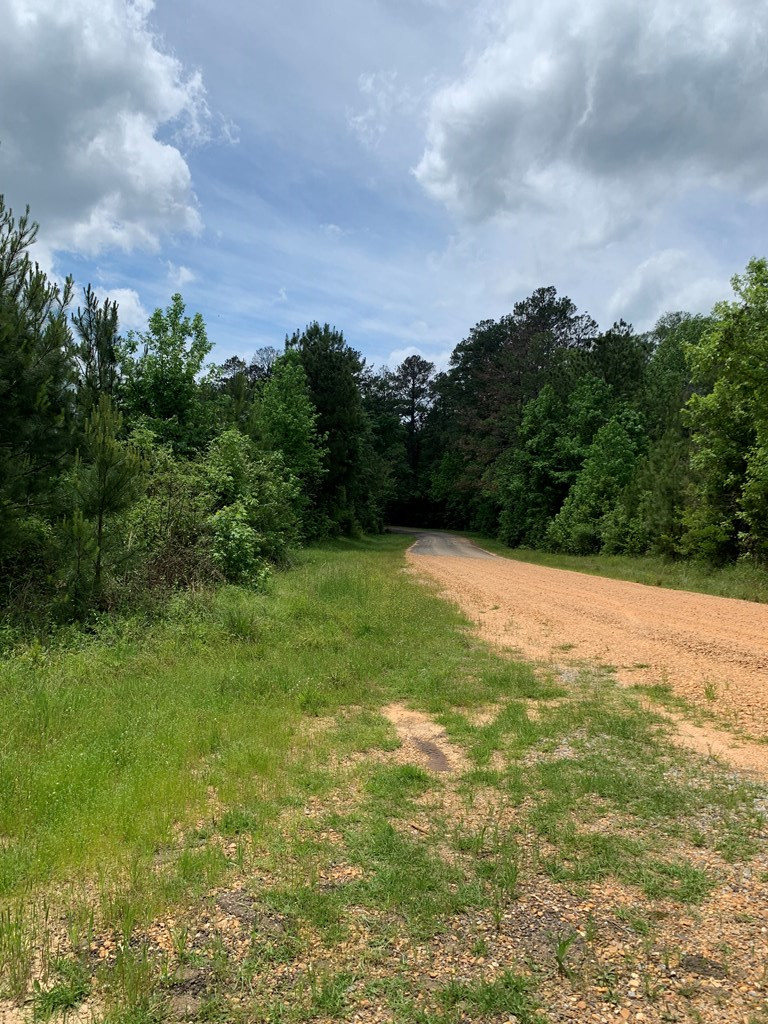 84 Applewhite Road McCall Creek, MS 39647 - Photo 21 of 24 Photo 21