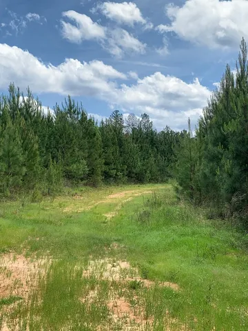 $1,044,932 | 84 Applewhite Road, McCall Creek, MS 39647