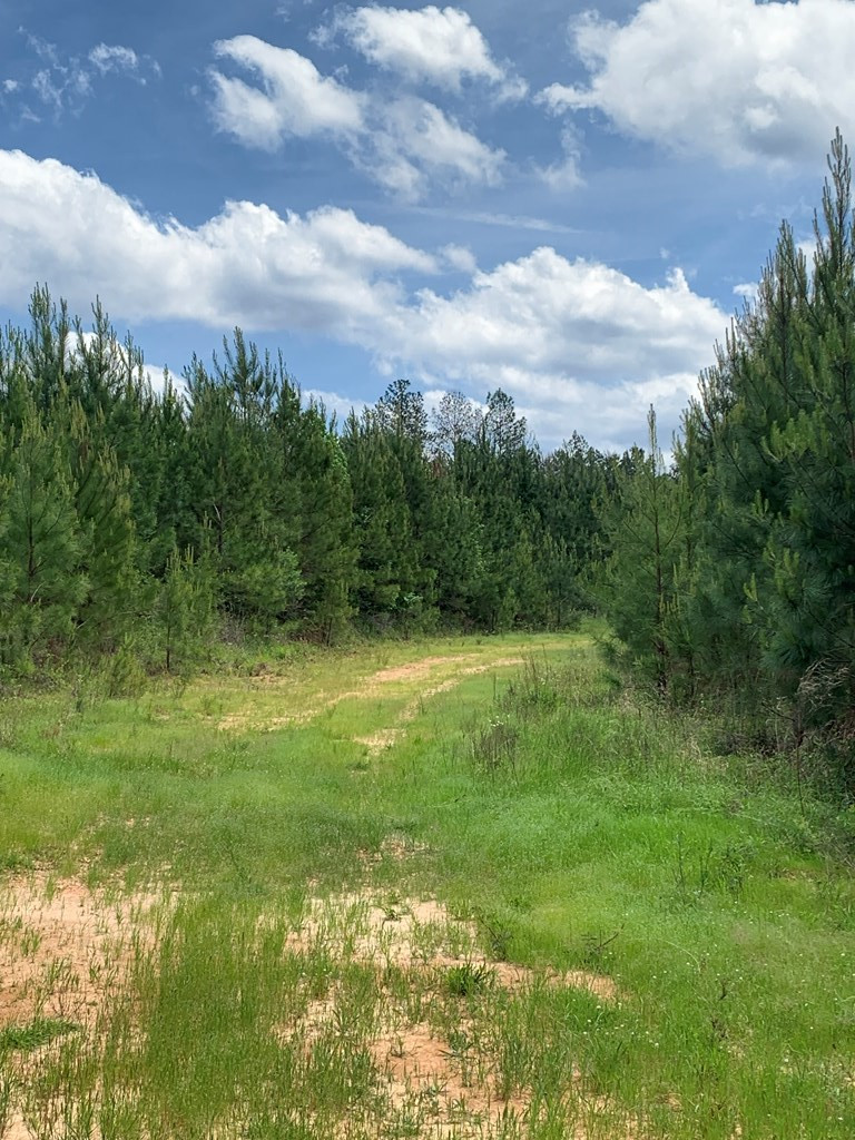 84 Applewhite Road McCall Creek, MS 39647 - Photo 22 of 24 Photo 22