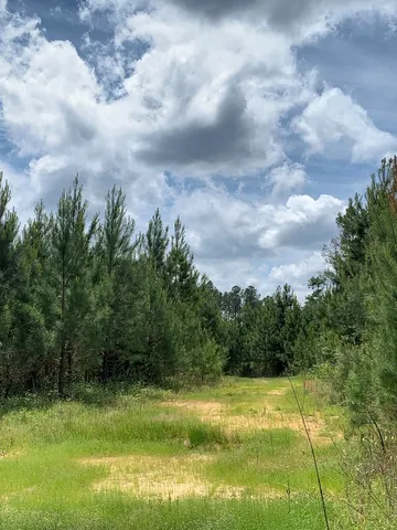 $1,044,932 | 84 Applewhite Road, McCall Creek, MS 39647