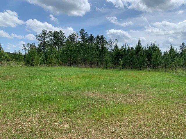 $1,044,932 | 84 Applewhite Road, McCall Creek, MS 39647