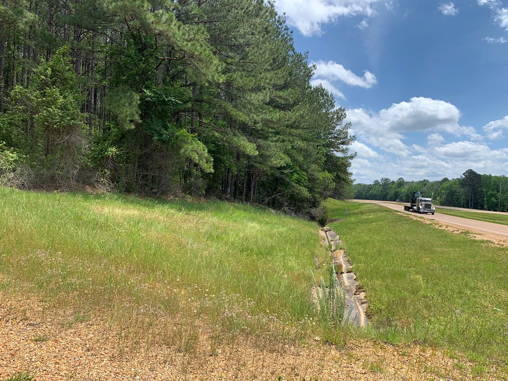 84 Applewhite Road McCall Creek, MS 39647 - Photo 4 of 24 Photo 4