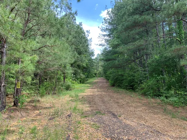 $1,044,932 | 84 Applewhite Road, McCall Creek, MS 39647