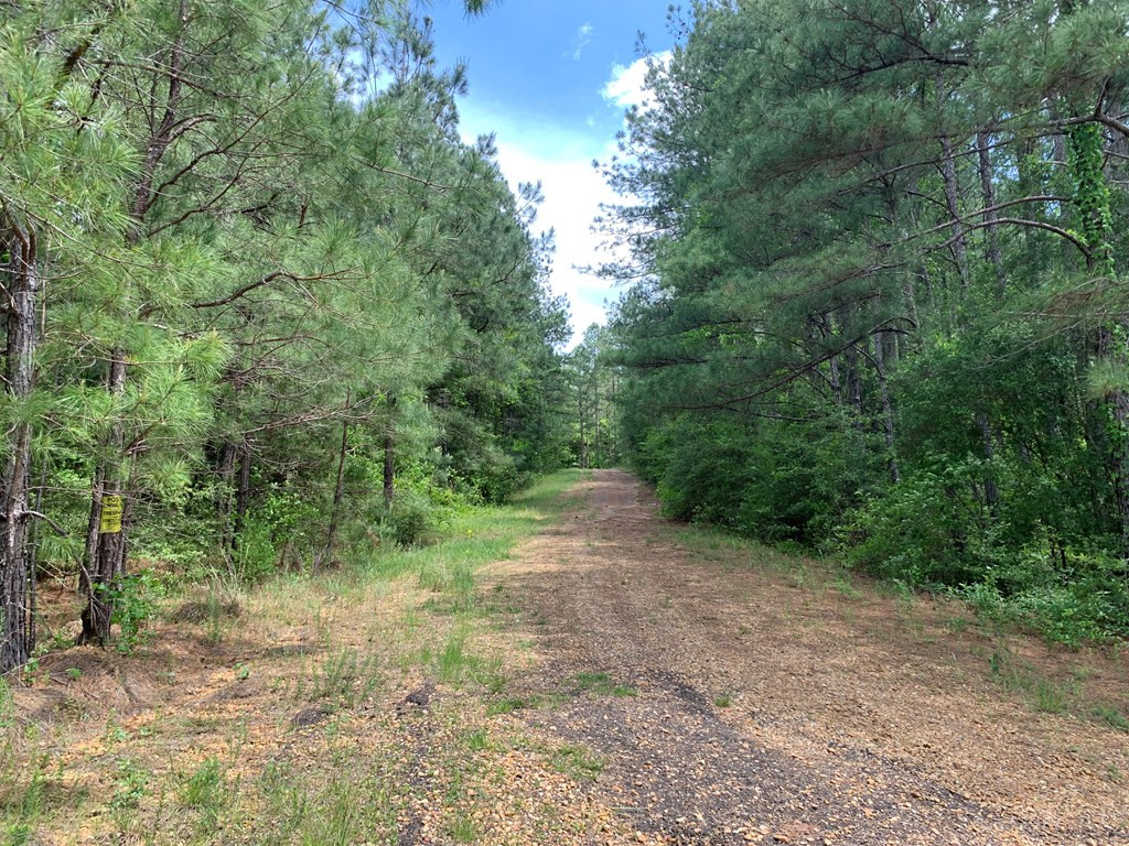 84 Applewhite Road McCall Creek, MS 39647 - Photo 5 of 24 Photo 5