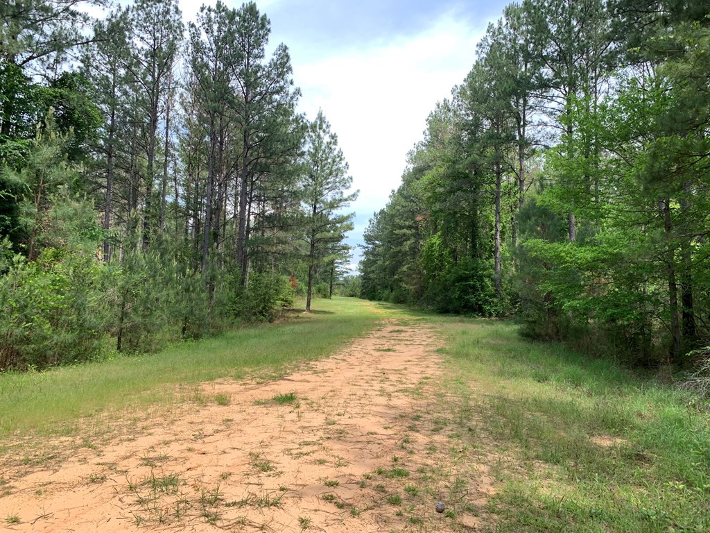84 Applewhite Road McCall Creek, MS 39647 - Photo 6 of 24 Photo 6