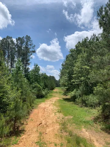 $1,044,932 | 84 Applewhite Road, McCall Creek, MS 39647