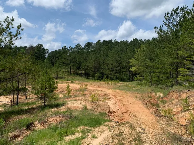 $1,044,932 | 84 Applewhite Road, McCall Creek, MS 39647