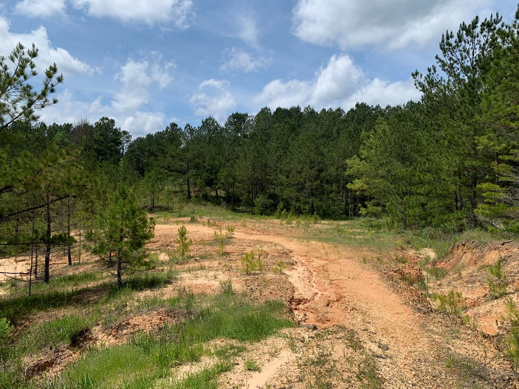 84 Applewhite Road McCall Creek, MS 39647 - Photo 8 of 24 Photo 8