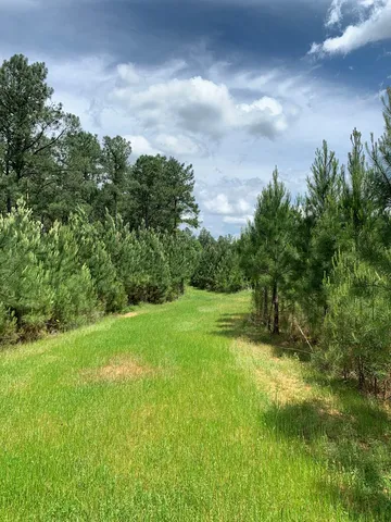 $1,044,932 | 84 Applewhite Road, McCall Creek, MS 39647