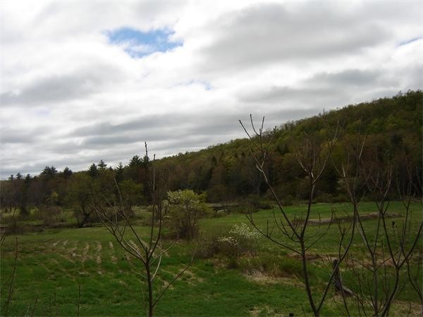 855 Huntington Road Worthington, MA 01098 - Photo 6 of 17 a view of a garden with a lake