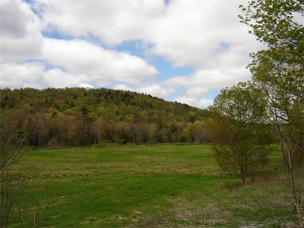 855 Huntington Road Worthington, MA 01098 - Photo 7 of 17 a view of outdoor space and yard