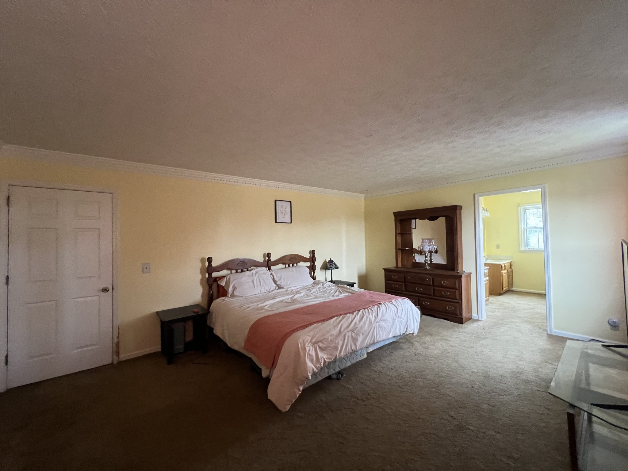 141 Buntin Mill Road Portland, TN 37148 - Photo 29 of 45 a bedroom with a bed and a mirror