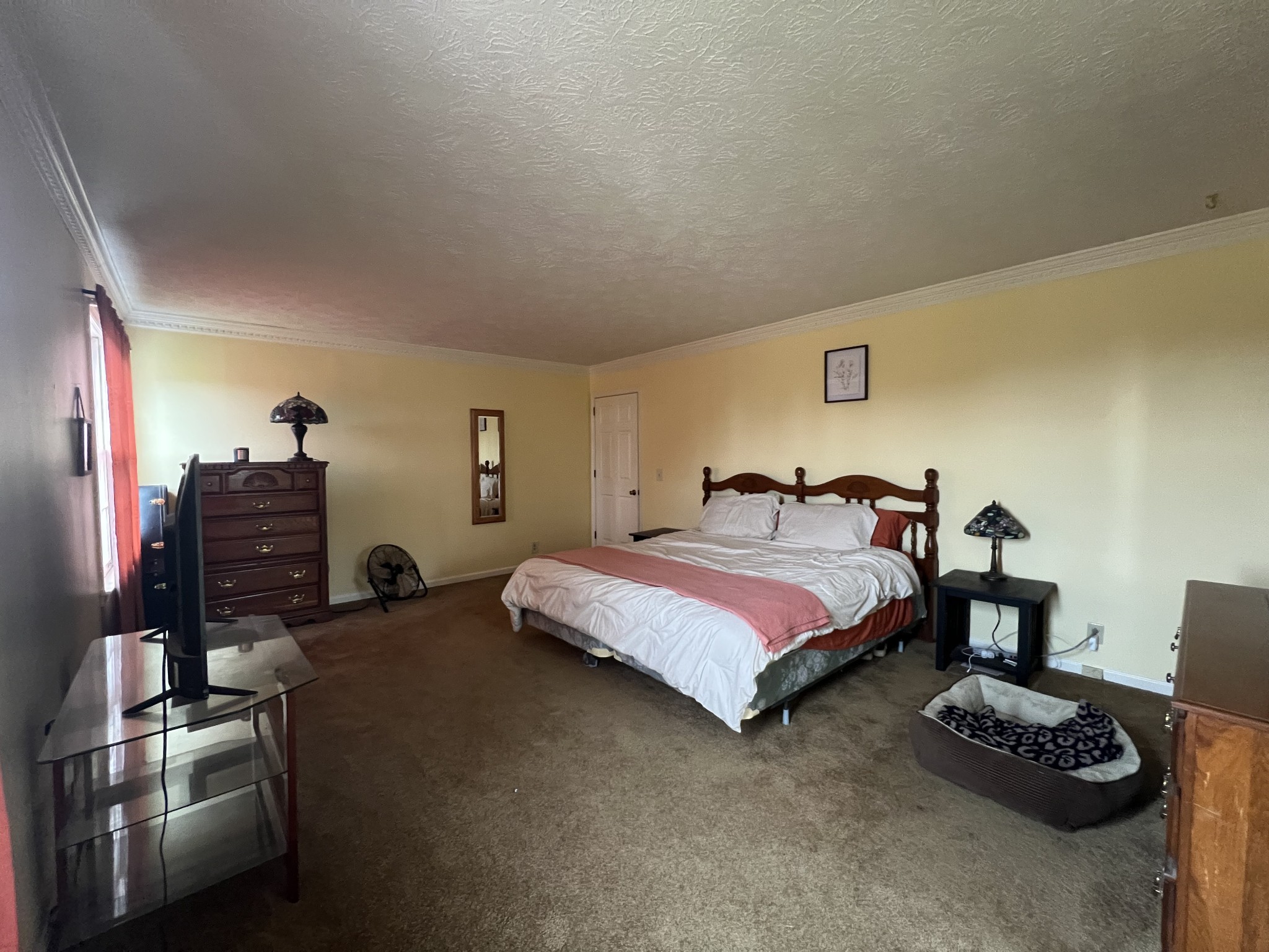 141 Buntin Mill Road Portland, TN 37148 - Photo 30 of 45 a bedroom with bed and a couch