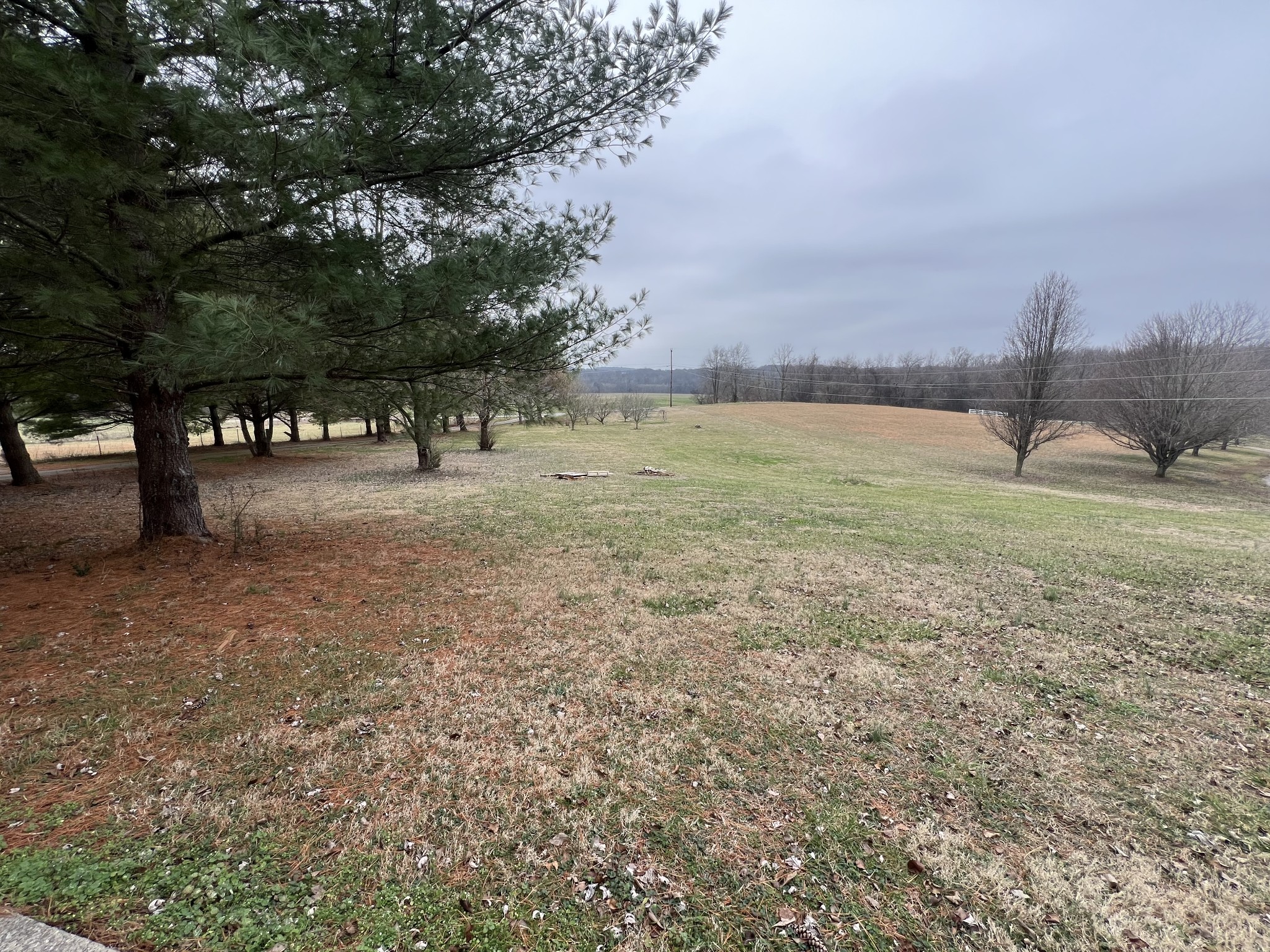141 Buntin Mill Road Portland, TN 37148 - Photo 9 of 45 a view of a field with an trees