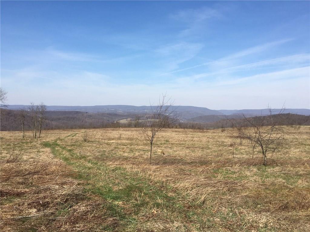 0 Pumpkin Center Road Confluence, PA 15424 - Photo 1 of 4 Gallery Image 1
