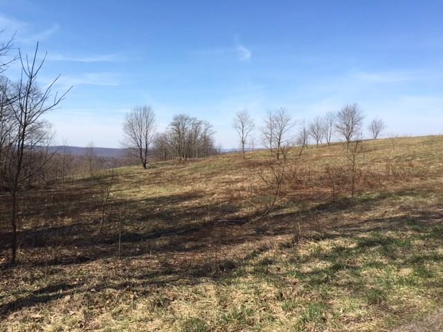 0 Pumpkin Center Road Confluence, PA 15424 - Photo 3 of 4 Gallery Image 3