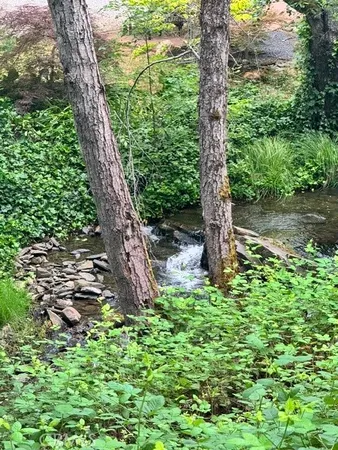 a green field with lots of trees in it