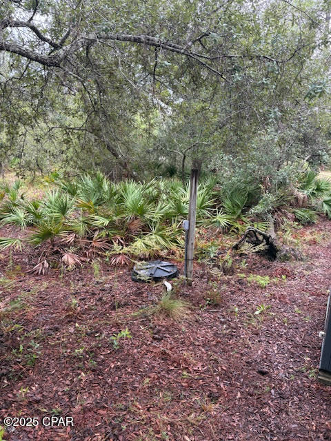 4539 Northwest Miller/white Ln Road Altha, FL 32421 - Photo 17 of 79