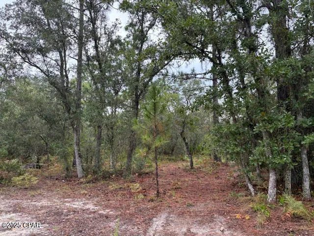 $145,900 | 4539 Northwest Miller/white Ln Road, Altha, FL 32421