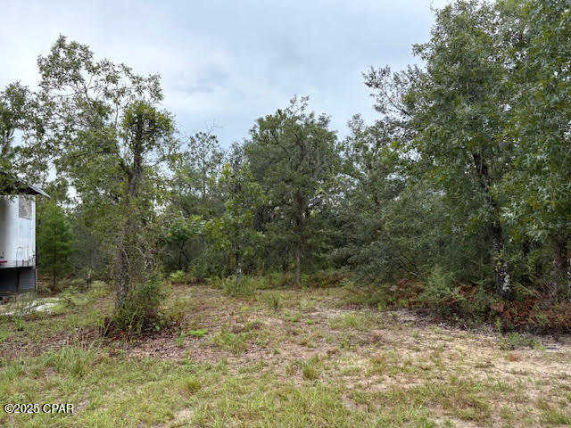 4539 Northwest Miller/white Ln Road Altha, FL 32421 - Photo 24 of 79