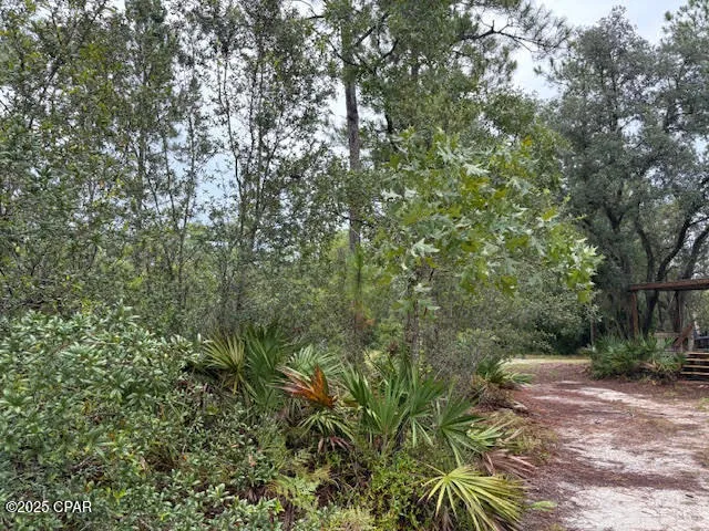 $145,900 | 4539 Northwest Miller/white Ln Road, Altha, FL 32421