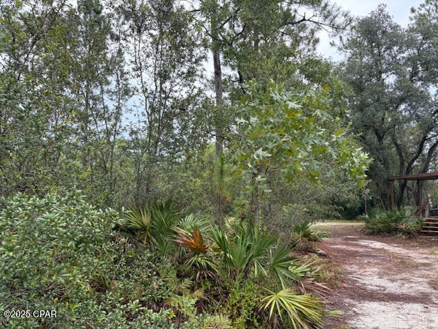 4539 Northwest Miller/white Ln Road Altha, FL 32421 - Photo 26 of 79