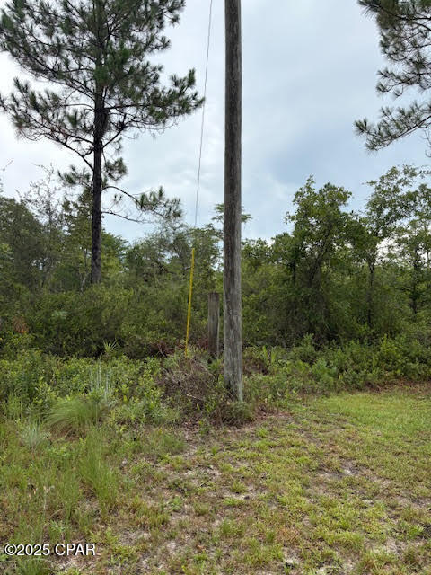 4539 Northwest Miller/white Ln Road Altha, FL 32421 - Photo 27 of 79