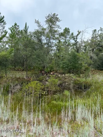 $145,900 | 4539 Northwest Miller/white Ln Road, Altha, FL 32421