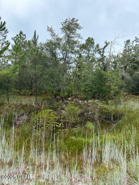 4539 Northwest Miller/white Ln Road Altha, FL 32421 - Photo 28 of 79