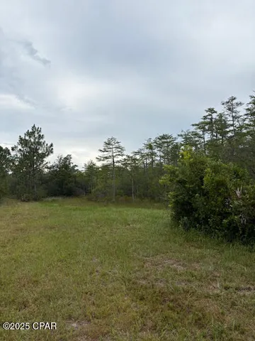 $145,900 | 4539 Northwest Miller/white Ln Road, Altha, FL 32421