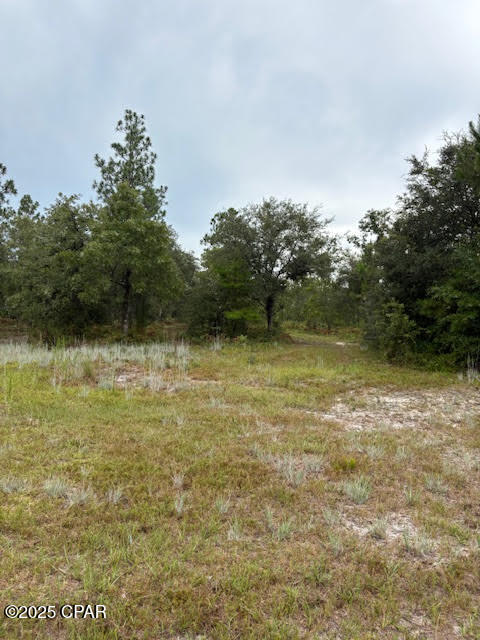 4539 Northwest Miller/white Ln Road Altha, FL 32421 - Photo 30 of 79