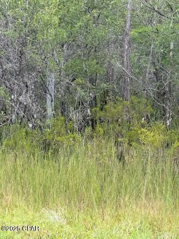 $145,900 | 4539 Northwest Miller/white Ln Road, Altha, FL 32421