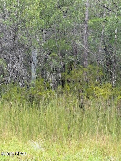 4539 Northwest Miller/white Ln Road Altha, FL 32421 - Photo 31 of 79