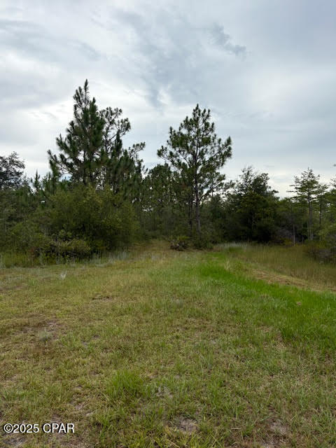 4539 Northwest Miller/white Ln Road Altha, FL 32421 - Photo 32 of 79