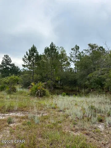 $145,900 | 4539 Northwest Miller/white Ln Road, Altha, FL 32421