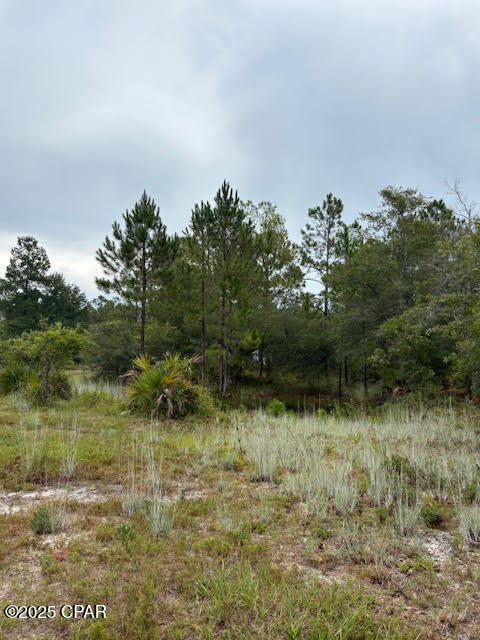 4539 Northwest Miller/white Ln Road Altha, FL 32421 - Photo 34 of 79