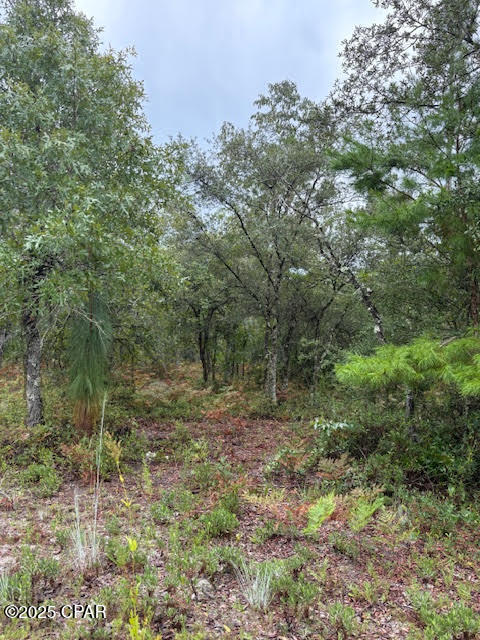 4539 Northwest Miller/white Ln Road Altha, FL 32421 - Photo 35 of 79