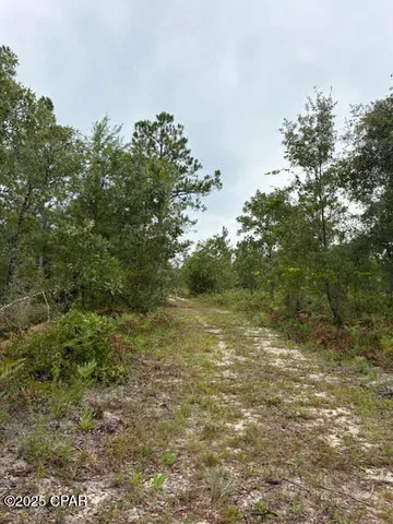 $145,900 | 4539 Northwest Miller/white Ln Road, Altha, FL 32421