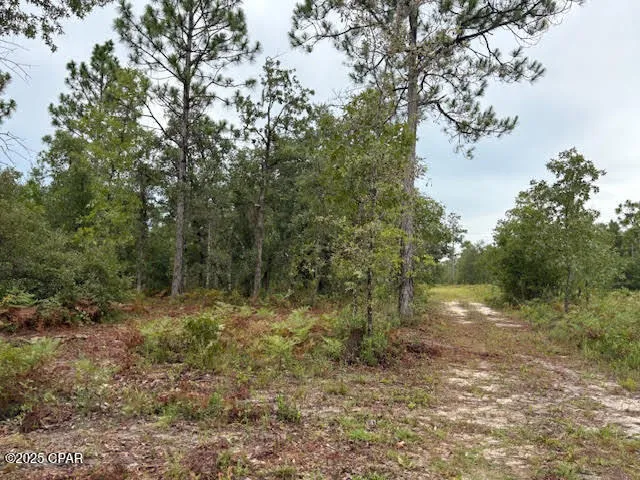 $145,900 | 4539 Northwest Miller/white Ln Road, Altha, FL 32421