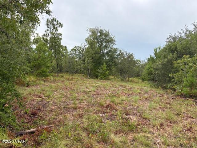 4539 Northwest Miller/white Ln Road Altha, FL 32421 - Photo 40 of 79