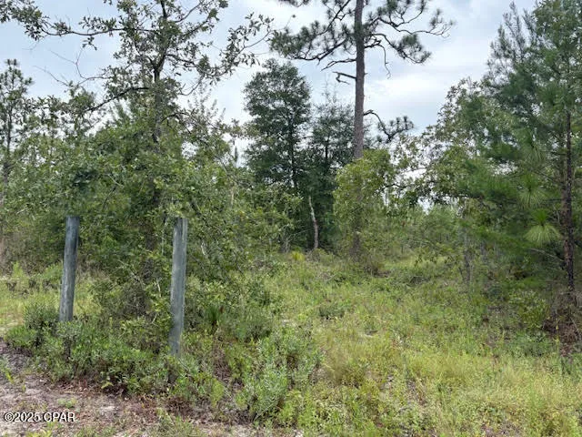 $145,900 | 4539 Northwest Miller/white Ln Road, Altha, FL 32421