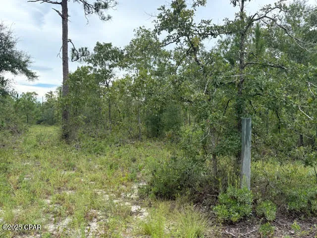 $145,900 | 4539 Northwest Miller/white Ln Road, Altha, FL 32421