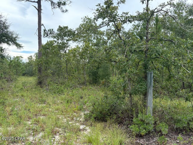 4539 Northwest Miller/white Ln Road Altha, FL 32421 - Photo 43 of 79