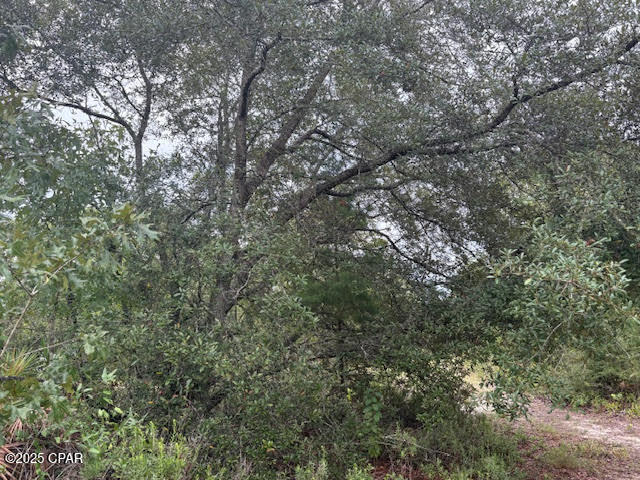 4539 Northwest Miller/white Ln Road Altha, FL 32421 - Photo 47 of 79