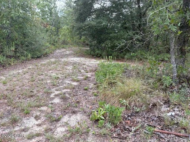 $145,900 | 4539 Northwest Miller/white Ln Road, Altha, FL 32421