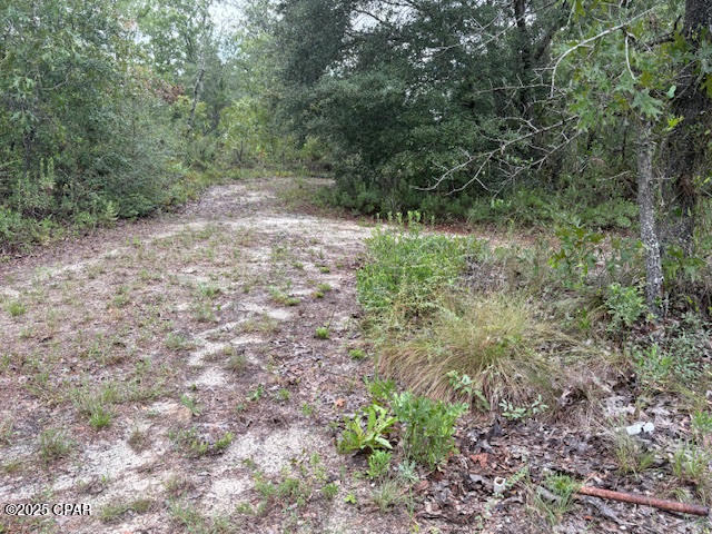 4539 Northwest Miller/white Ln Road Altha, FL 32421 - Photo 49 of 79