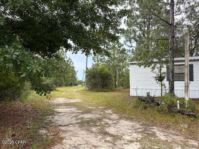 4539 Northwest Miller/white Ln Road Altha, FL 32421 - Photo 5 of 79