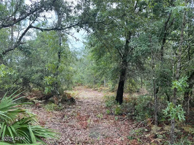 $145,900 | 4539 Northwest Miller/white Ln Road, Altha, FL 32421